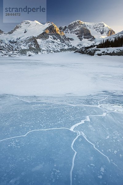 Mount Athabasca und den Sunwapta River in Winter  Columbia-Eisfeld  Jasper-Nationalpark  Alberta  Kanada