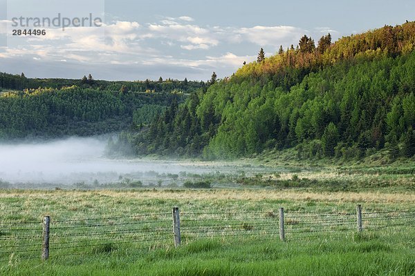 Big Hill Springs Provincial Park  Cochrane  Alberta  Kanada