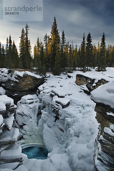 Athabasca Falls im Winter  Jasper-Nationalpark in Alberta  Kanada