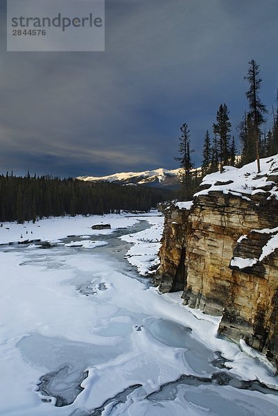 Athabasca River bei Athabasca Falls  Jasper-Nationalpark in Alberta  Kanada
