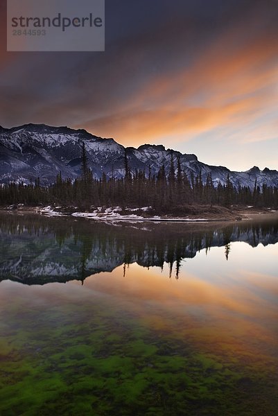 Unbenannte heißer Frühling  Miette Range  Jasper-Nationalpark in Alberta  Kanada