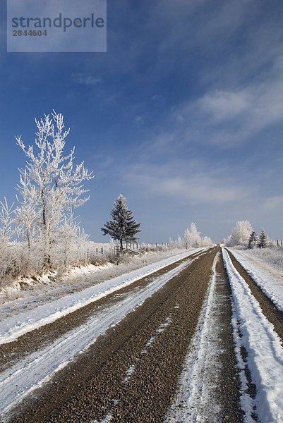 Gravel Road in der Nähe von Cochrane  Alberta  Kanada