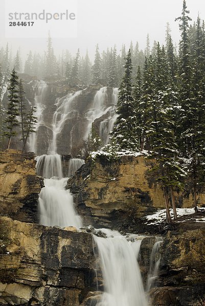 Tangle Falls  Jasper-Nationalpark in Alberta  Kanada