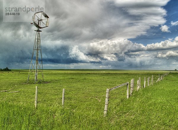 Windmühle in Feld in der Nähe von Cochrane  Alberta  Kanada