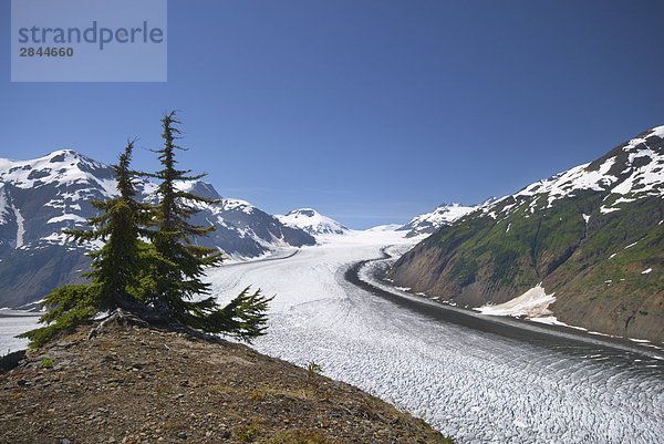 Lachs-Gletscher  British Columbia  Kanada