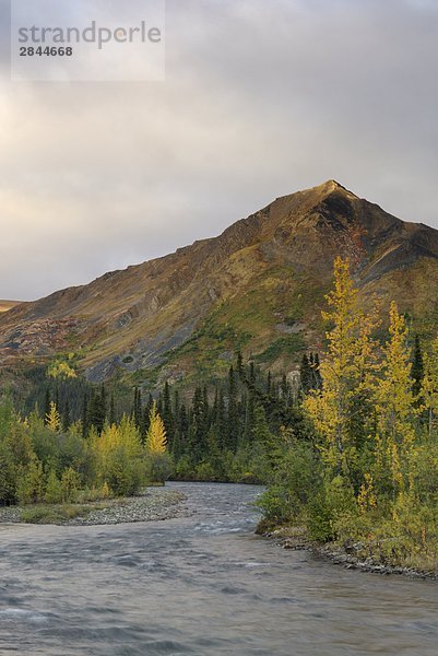 Ingenieur Creek  Taiga Ranges  Yukon-Territorium  Kanada