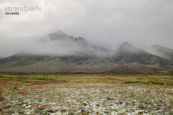 Ogilvie Mountains  Yukon-Territorium  Kanada