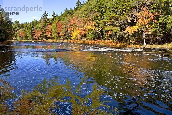 Mersey River  Kejimkujik-Nationalpark  Nova Scotia  Kanada