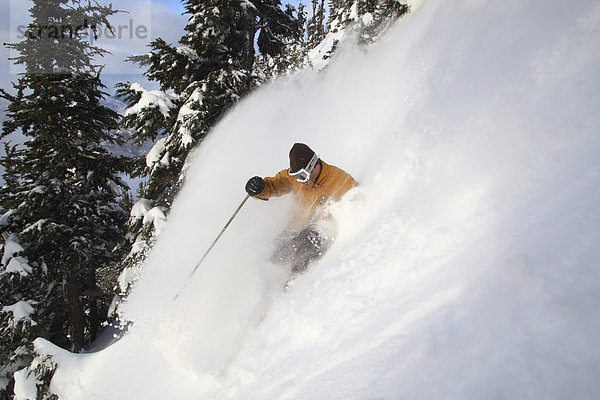 Mann Skifahren in frisch Pulver  Whistler Mountain  British Columbia  Kanada