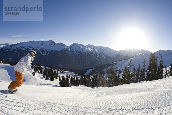 Snowboarder auf präparierte Schlittelbahn  Whistler  British Columbia  Kanada