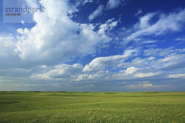 Weide-private Ranch grenzt an Grasslands Nationalpark in der Nähe von Val Marie  Saskatchewan  Kanada