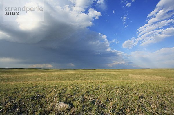 Private Ranchlands direkt südlich des Grasslands-Nationalpark in der Nähe von Val Marie  Saskatchewan  Kanada