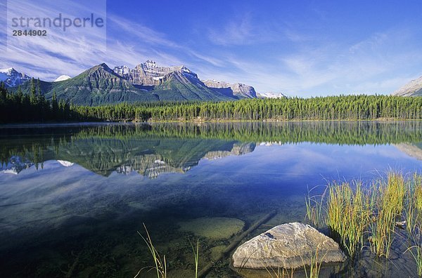 Schöne Sommermorgen in den kanadischen Rocky Mountains am Herbert Lake  Banff-Nationalpark  Alberta  Kanada