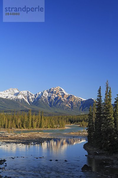 Pyramid Mountain und den Athabasca River im Jasper-Nationalpark in der kanadischen Rockies  Alberta  Kanada
