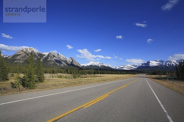 David Thompson Highway (Highway 11) zwischen Saskatchewan Kreuzung und Rotwild auf den Kootenay Plains  Alberta  Kanada