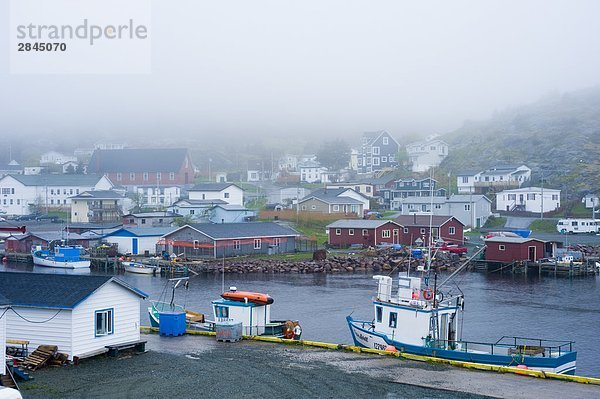 Kleinen Hafen  Neufundland  Kanada