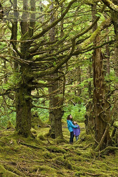 Mutter und Tochter in bemoosten Wald  Naikoon Provincial Park  Queen Charlotte Islands  British Columbia  Kanada
