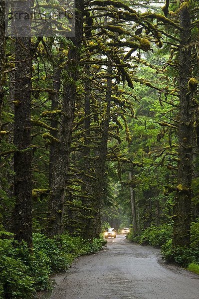 Auto auf dem Weg zum Tow Hill  Naikoon Provincial Park  Queen Charlotte Islands  British Columbia  Kanada
