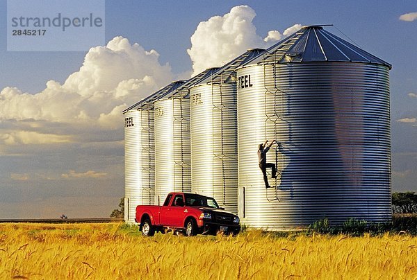 Ein Landwirt überprüft seine Korn Lagerplätze befindet sich vor der Reife Ernte Winterweizen in der Nähe von Carey  Manitoba  Kanada
