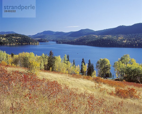 Lac des Roches in Herbstfarben  befindet sich östlich von 100 Mile House am Highway 24  in der Cariboo Region  British Columbia  Kanada