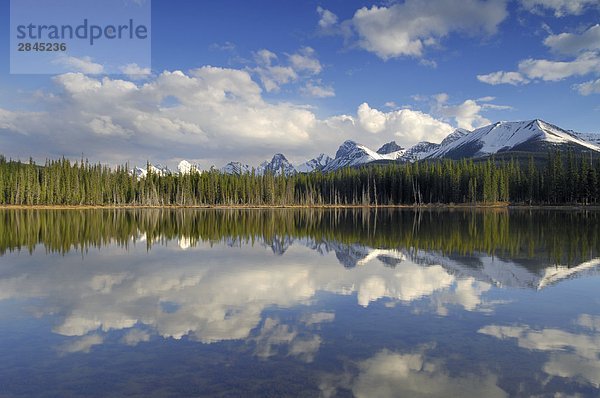 Buller Berg Teich  südlich von Canmore  Spray Valley Provincial Park  Alberta  Kanada