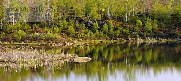 Rock Outcrops und Frühjahr Laub Farbe spiegelt sich in Biber Teich  lebhaft  Ontario  Kanada