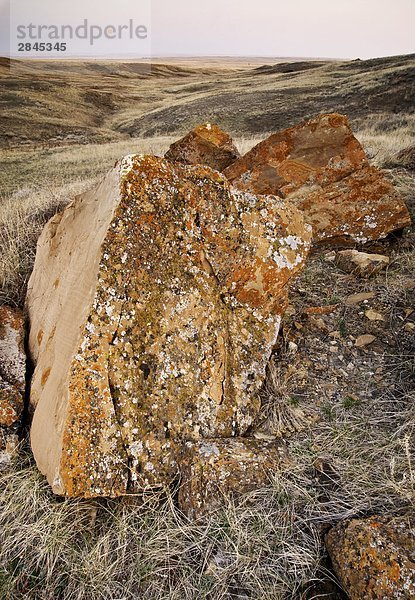 Erodiert Sandstein Felsen gemachten in semi-ariden Landschaft im Morgengrauen  sieben Personen  Alberta  Kanada