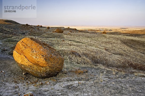 Erodiert Sandstein Felsen gemachten in semi-ariden Landschaft im Morgengrauen  sieben Personen  Alberta  Kanada