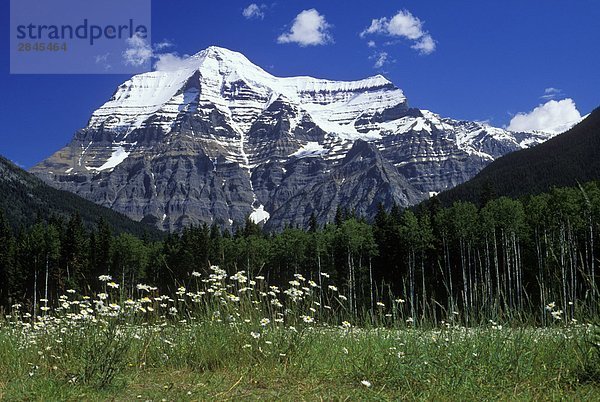 Mount Robson  3954 M höchste Berg in den kanadischen Rocky Mountains  British Columbia  Kanada.