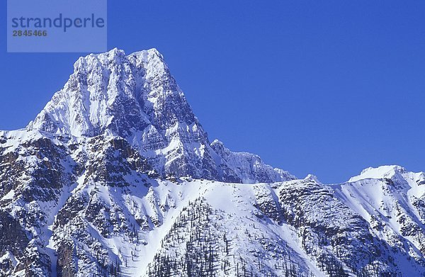 Rocky Mountains  Mount Henderson  Alberta  Kanada.