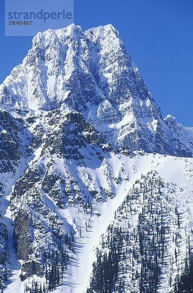 Rocky Mountains  Mount Henderson  Alberta  Kanada.