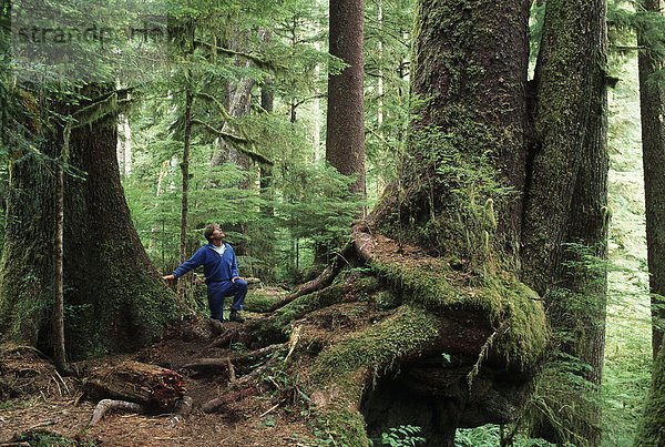 Pathway in alten Wachstum Wald  Carmanah Tal  Vancouver Island  British Columbia  Kanada.