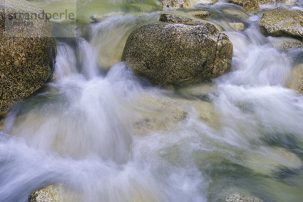 Frisches Wasser über Granitblöcke  Shannon Falls Park  Squamish  British Columbia  Kanada.