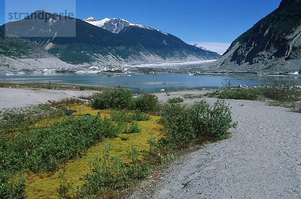 Coast Range  Klinaklini Gletscher  Nimmo Bay Heli Ventures  British Columbia  Kanada.