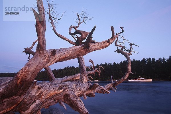 Gulf Islands Anchorage British Columbia Kanada