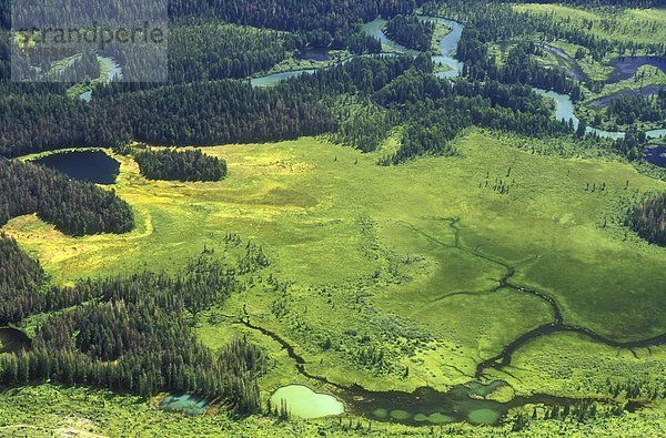 Mitchell River Feuchtgebiete  British Columbia  Kanada.