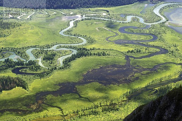 Mitchell River Feuchtgebiete  British Columbia  Kanada.