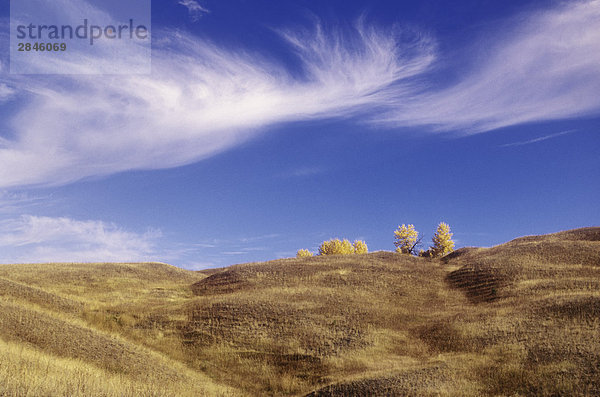 Grasland  Chilcotin Region  British Columbia  Kanada.