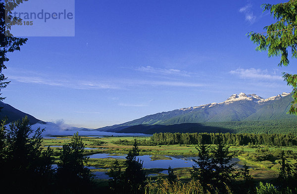 Columbia River Valley und Feuchtgebiete in der Nähe von Revelstoke in British Columbia  Kanada.