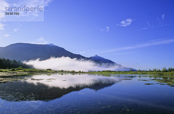 Columbia River Valley und Feuchtgebiete in der Nähe von Revelstoke in British Columbia  Kanada.