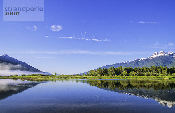 Columbia River Valley und Feuchtgebiete in der Nähe von Revelstoke in British Columbia  Kanada.