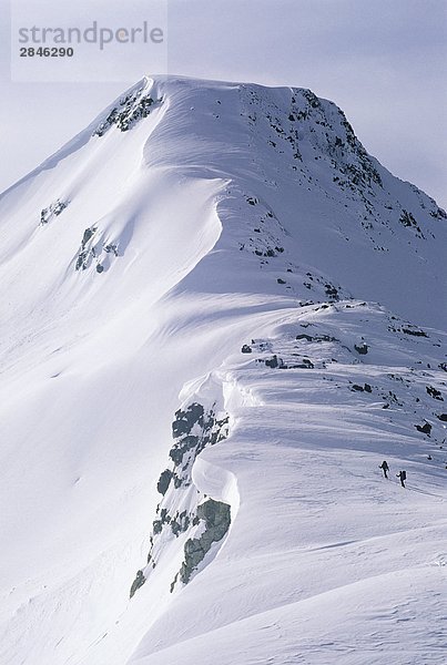 Skifahrer ein Ridgeline steigen Sie auf die Speerspitze Traverse  ein Ski traverse zwischen Whistler und Blackcomb  Whistler  British Columbia  Kanada.