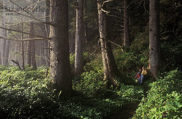 Wanderer in alten Waldbestands  West Coast Trail.  Pacific Rim National Park  Vancouver Island  British Columbia  Kanada.