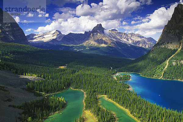 Vistas von Wäldern und Seen  Opabin Plateau  Yoho Nationalpark  British Columbia  Kanada.