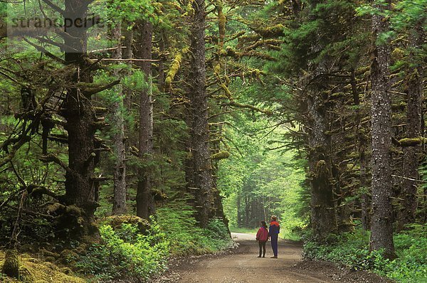 Alten Waldbestands von Naikoon Provincial Park  British Columbia  Kanada.