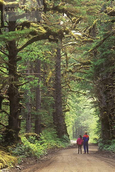 Alten Waldbestands von Naikoon Provincial Park  British Columbia  Kanada.