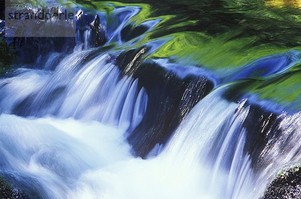 Wasserfall im Gwaii Haanas National Park reserve  South Moresby  British Columbia  Kanada.