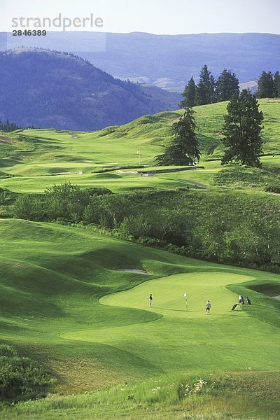 Predator Golfplatz  Vernon  British Columbia  Kanada.
