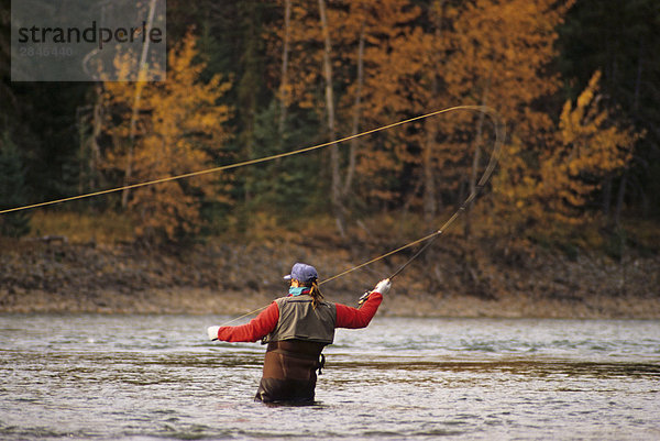 fliegenfischend  Bulkley River  British Columbia  Kanada.