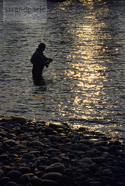 Fliegenfischer Silhouette  Bulkley River  British Columbia  Kanada.